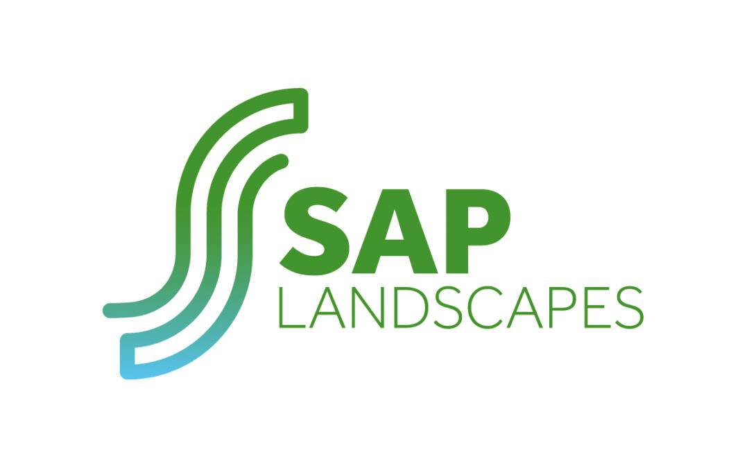 SAP Landscapes New Identity