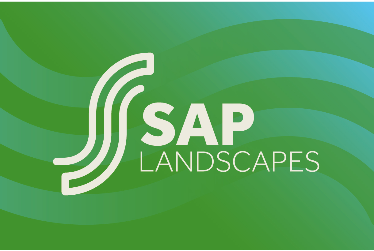 SAP Landscapes Brand Identity Design Ireland