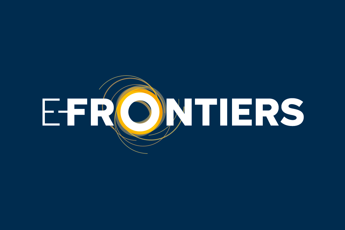e-Frontiers Brand Identity Design Dublin